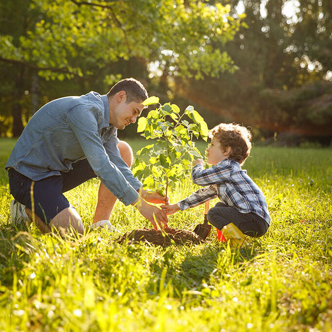 Dad and young son planting a tree at a naming ceremony